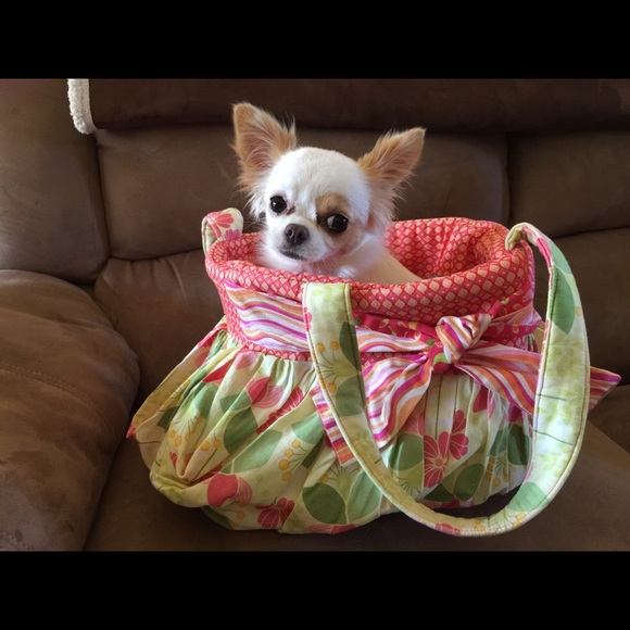 Meet your Posher, Rita - Picture 8 of 8